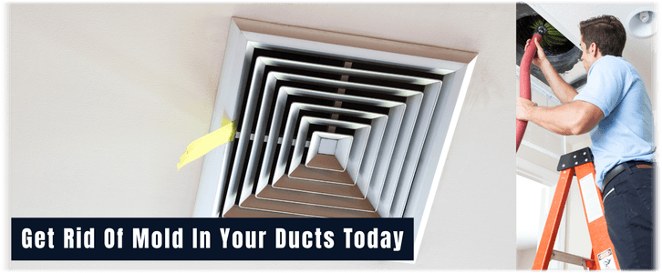 Air Duct Mold Removal in Denton